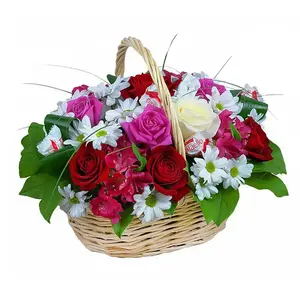 Нежные Чувства